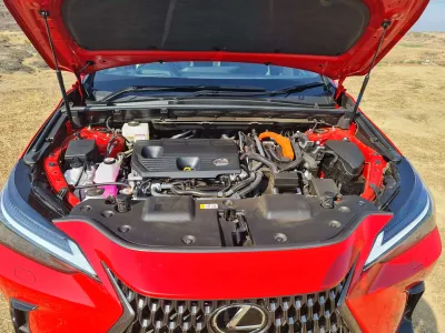 NX 350h